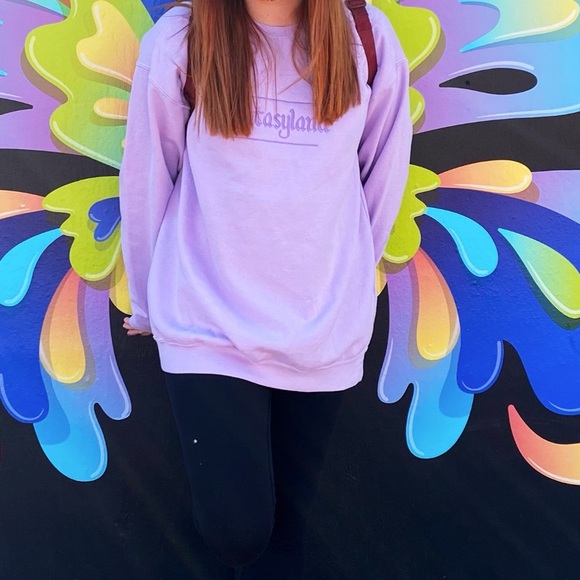 Comfort Colors Sweaters - My Oh My Supply Co on Comfort Colors- Disney Inspired Fantasyland Sweater